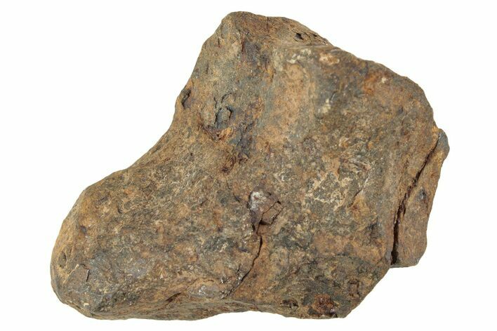 Agoudal Iron Meteorite ( g) - Morocco #245623